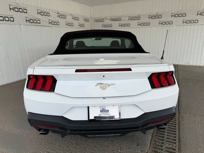 2024 Ford Mustang EcoBoost