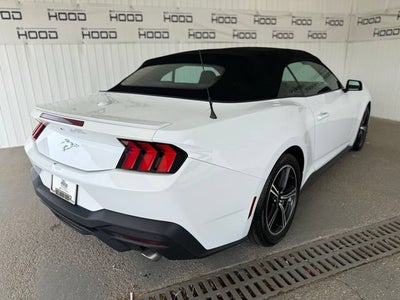 2024 Ford Mustang EcoBoost