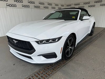 2024 Ford Mustang EcoBoost
