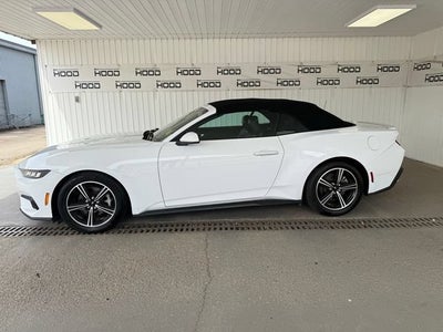 2024 Ford Mustang EcoBoost